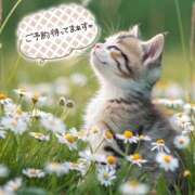 ヒメ日記 2025/10/03 09:19 投稿 まりか 素人妻達☆マイふぇらレディー