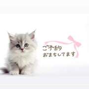 ヒメ日記 2025/10/16 16:18 投稿 まりか 素人妻達☆マイふぇらレディー