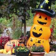 ヒメ日記 2025/10/22 09:19 投稿 まりか 素人妻達☆マイふぇらレディー