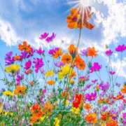 ヒメ日記 2025/10/26 09:07 投稿 まりか 素人妻達☆マイふぇらレディー