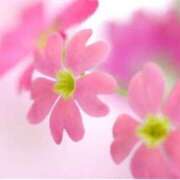 ヒメ日記 2025/10/27 09:18 投稿 まりか 素人妻達☆マイふぇらレディー