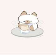 ヒメ日記 2025/11/08 14:46 投稿 まりか 素人妻達☆マイふぇらレディー