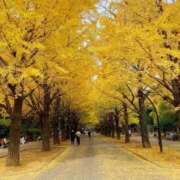 ヒメ日記 2025/11/10 09:11 投稿 まりか 素人妻達☆マイふぇらレディー