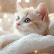 ヒメ日記 2025/11/25 17:16 投稿 まりか 素人妻達☆マイふぇらレディー