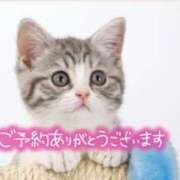 ヒメ日記 2025/12/01 13:59 投稿 まりか 素人妻達☆マイふぇらレディー