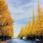 ヒメ日記 2025/12/08 17:01 投稿 まりか 素人妻達☆マイふぇらレディー