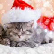 まりか 来週空き枠あります❣️ 素人妻達☆マイふぇらレディー