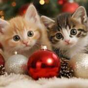 ヒメ日記 2025/12/18 10:38 投稿 まりか 素人妻達☆マイふぇらレディー