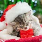 ヒメ日記 2025/12/19 09:15 投稿 まりか 素人妻達☆マイふぇらレディー