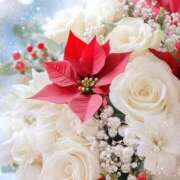 ヒメ日記 2025/12/23 13:15 投稿 まりか 素人妻達☆マイふぇらレディー