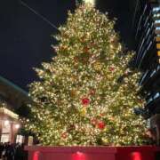 ヒメ日記 2025/12/26 16:43 投稿 まりか 素人妻達☆マイふぇらレディー