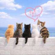 ヒメ日記 2026/01/16 12:19 投稿 まりか 素人妻達☆マイふぇらレディー