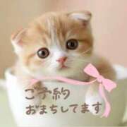 まりか 来週、出勤枠増やしました❣️ 素人妻達☆マイふぇらレディー