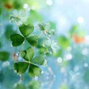 ヒメ日記 2026/01/21 11:45 投稿 まりか 素人妻達☆マイふぇらレディー