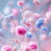 ヒメ日記 2026/01/22 12:31 投稿 まりか 素人妻達☆マイふぇらレディー