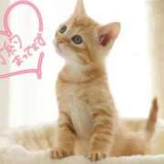 ヒメ日記 2026/01/25 15:45 投稿 まりか 素人妻達☆マイふぇらレディー