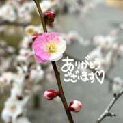 ヒメ日記 2026/01/26 21:02 投稿 まりか 素人妻達☆マイふぇらレディー