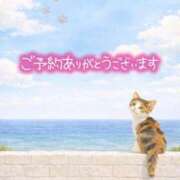 ヒメ日記 2026/01/28 10:02 投稿 まりか 素人妻達☆マイふぇらレディー