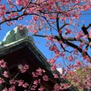 ヒメ日記 2026/01/31 15:00 投稿 まりか 素人妻達☆マイふぇらレディー