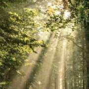 ヒメ日記 2026/02/04 12:31 投稿 まりか 素人妻達☆マイふぇらレディー