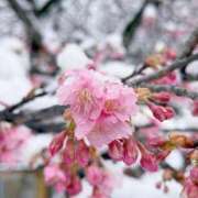 ヒメ日記 2026/02/09 12:45 投稿 まりか 素人妻達☆マイふぇらレディー