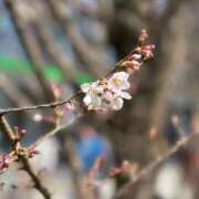 ヒメ日記 2026/02/12 10:30 投稿 まりか 素人妻達☆マイふぇらレディー