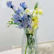 ヒメ日記 2026/02/12 17:59 投稿 まりか 素人妻達☆マイふぇらレディー