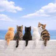 ヒメ日記 2026/02/13 10:15 投稿 まりか 素人妻達☆マイふぇらレディー