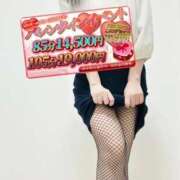 ヒメ日記 2026/02/19 14:28 投稿 まりか 素人妻達☆マイふぇらレディー