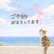 ヒメ日記 2026/02/19 18:48 投稿 まりか 素人妻達☆マイふぇらレディー