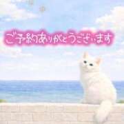 ヒメ日記 2026/02/20 13:28 投稿 まりか 素人妻達☆マイふぇらレディー