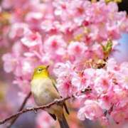 ヒメ日記 2026/02/21 10:22 投稿 まりか 素人妻達☆マイふぇらレディー