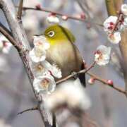 ヒメ日記 2026/02/22 10:18 投稿 まりか 素人妻達☆マイふぇらレディー