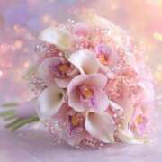 ヒメ日記 2026/02/26 10:21 投稿 まりか 素人妻達☆マイふぇらレディー