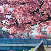 ヒメ日記 2026/03/02 09:32 投稿 まりか 素人妻達☆マイふぇらレディー