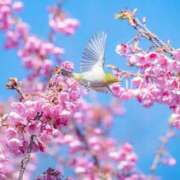 ヒメ日記 2026/03/04 10:20 投稿 まりか 素人妻達☆マイふぇらレディー