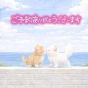 ヒメ日記 2026/03/09 15:20 投稿 まりか 素人妻達☆マイふぇらレディー