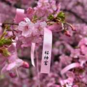 ヒメ日記 2026/03/22 09:48 投稿 まりか 素人妻達☆マイふぇらレディー