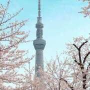 ヒメ日記 2026/03/28 09:48 投稿 まりか 素人妻達☆マイふぇらレディー