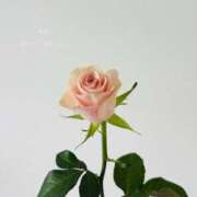 ヒメ日記 2026/03/30 10:20 投稿 まりか 素人妻達☆マイふぇらレディー