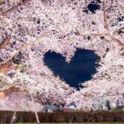 ヒメ日記 2026/03/31 20:15 投稿 まりか 素人妻達☆マイふぇらレディー