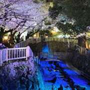 ヒメ日記 2026/04/05 09:47 投稿 まりか 素人妻達☆マイふぇらレディー