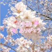 ヒメ日記 2026/04/06 11:08 投稿 まりか 素人妻達☆マイふぇらレディー