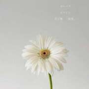 ヒメ日記 2026/04/08 09:38 投稿 まりか 素人妻達☆マイふぇらレディー