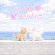 ヒメ日記 2026/04/10 21:08 投稿 まりか 素人妻達☆マイふぇらレディー