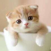 ヒメ日記 2026/04/13 09:28 投稿 まりか 素人妻達☆マイふぇらレディー