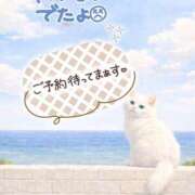 ヒメ日記 2026/04/15 13:58 投稿 まりか 素人妻達☆マイふぇらレディー