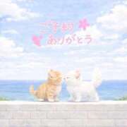 ヒメ日記 2026/04/15 15:14 投稿 まりか 素人妻達☆マイふぇらレディー