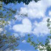 ヒメ日記 2026/04/17 14:48 投稿 まりか 素人妻達☆マイふぇらレディー