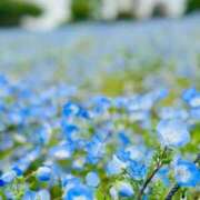 ヒメ日記 2026/04/18 12:58 投稿 まりか 素人妻達☆マイふぇらレディー